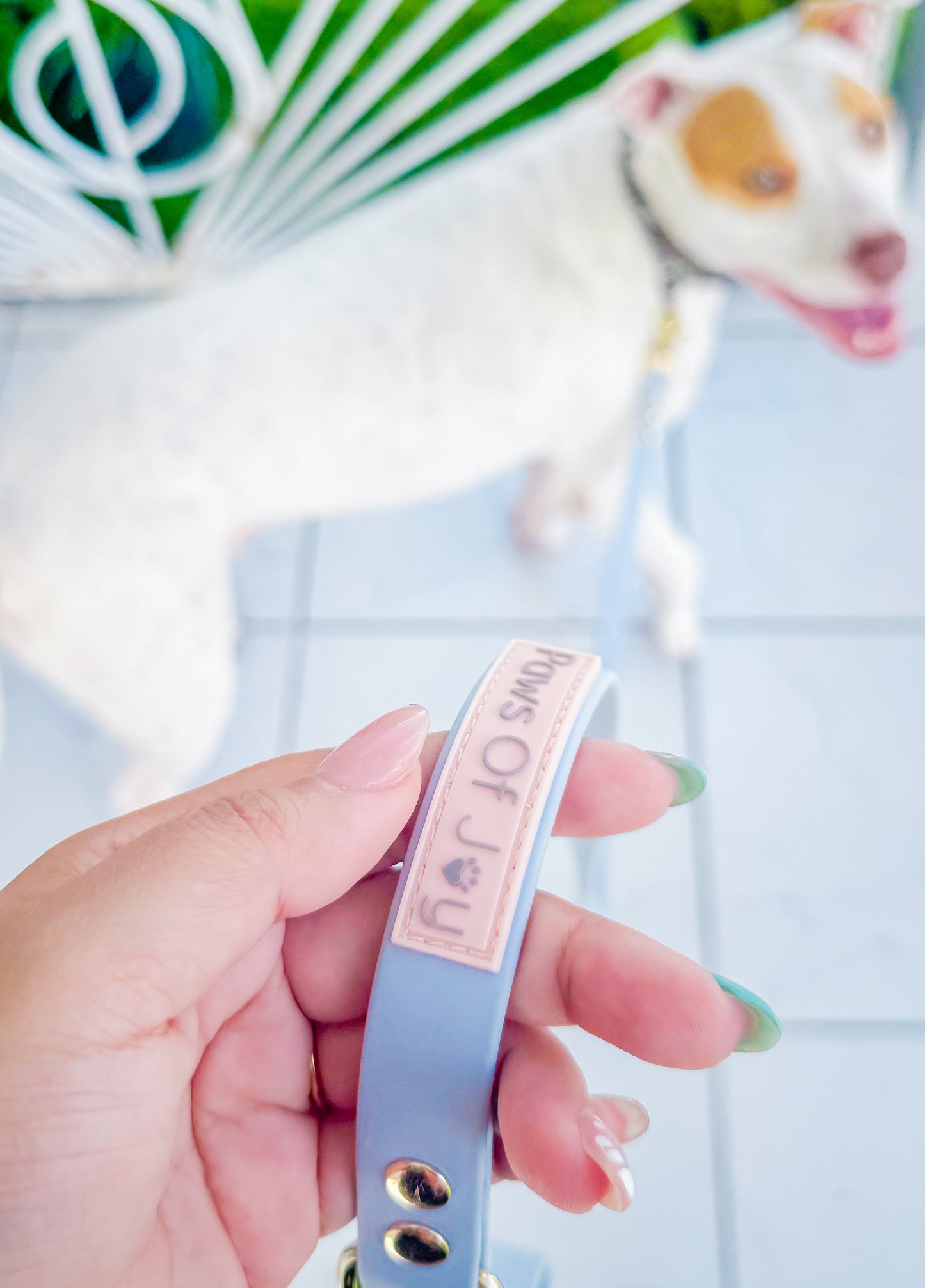 Serenity Blue waterproof dog leash with light gold hardware, blending calm beauty and comfort for peaceful walks shared with your dog.
