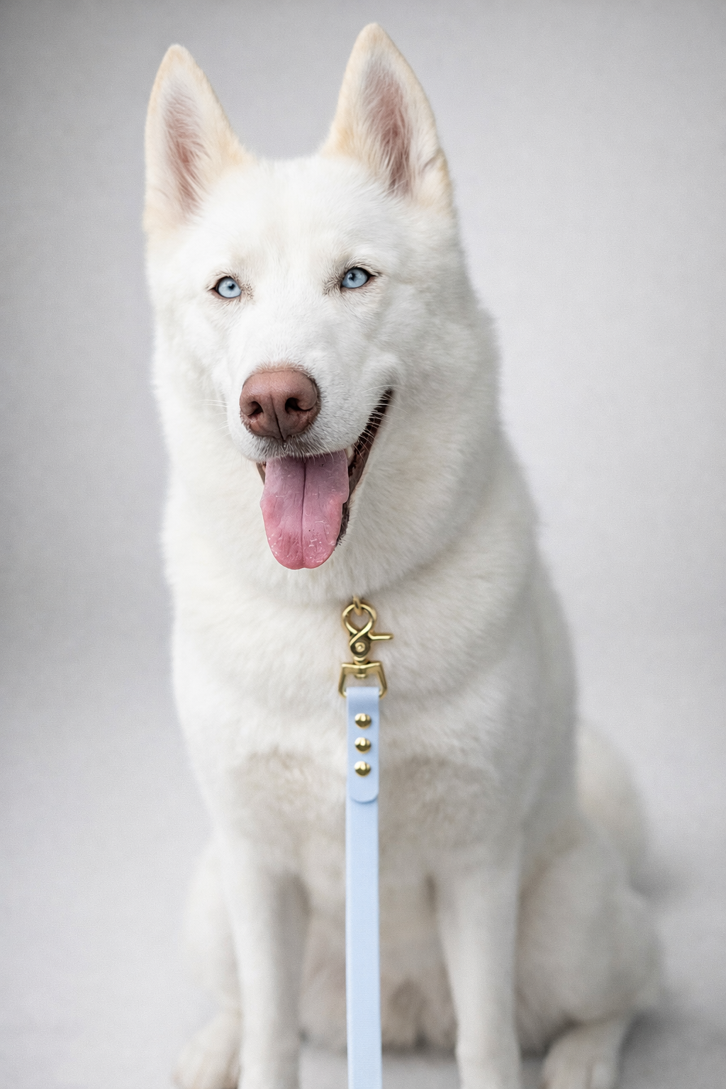 Serenity blue Waterproof Dog Leash