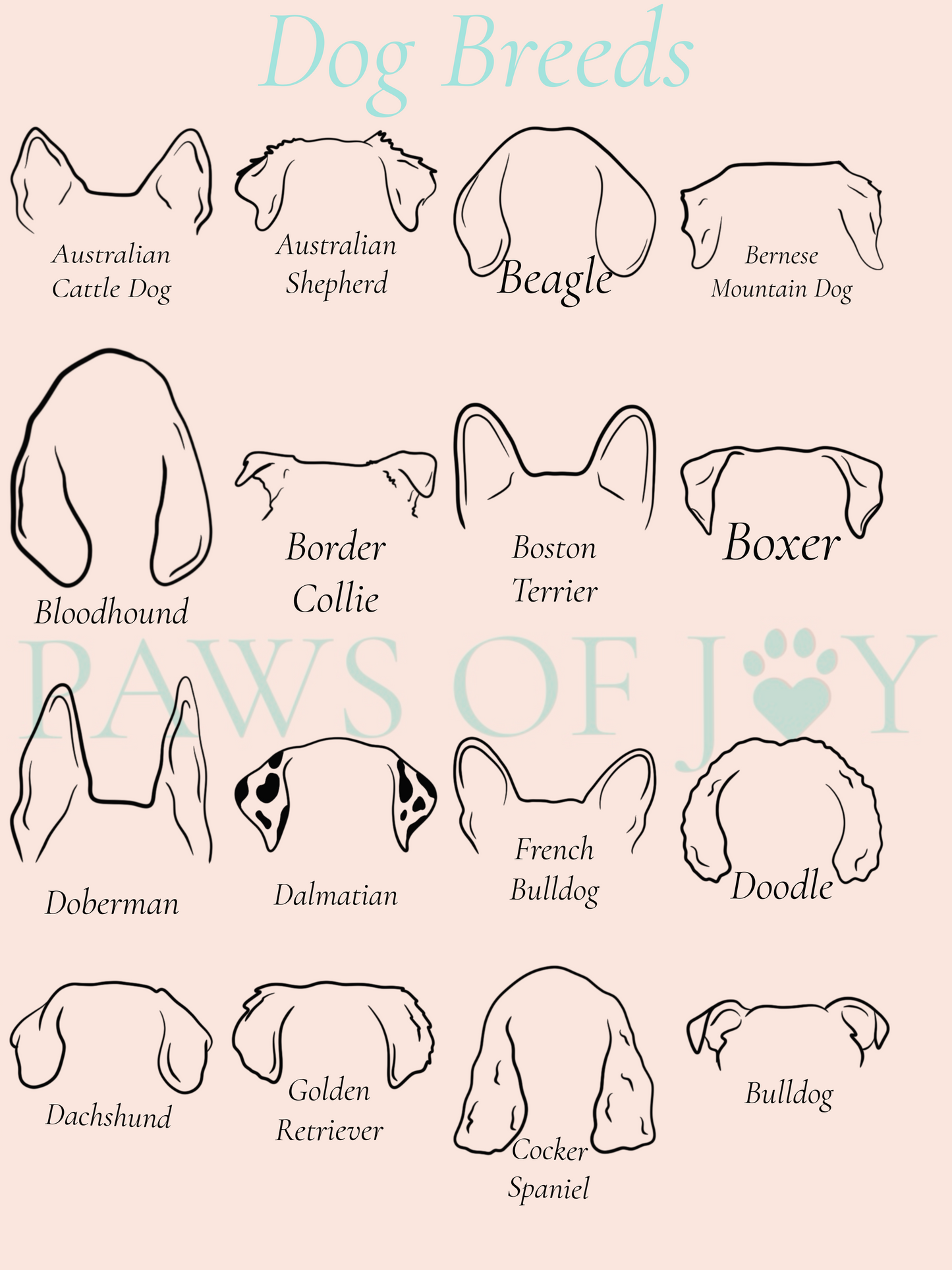 Illustrations of dog breeds with their names on a light pink background
