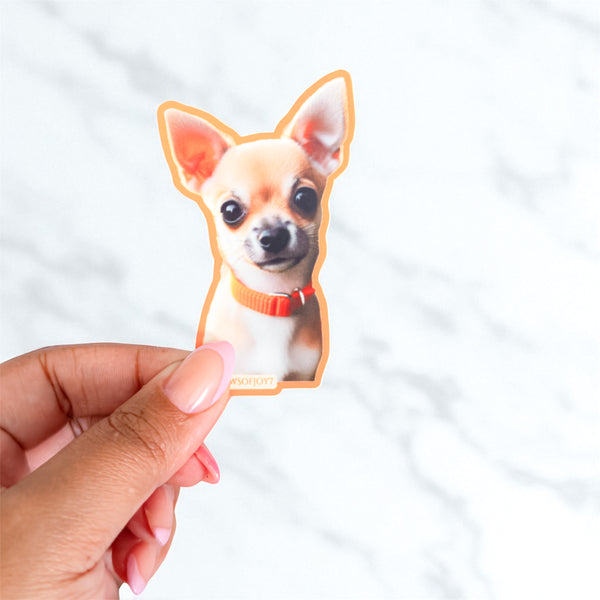 Hand holding a small cutout of a chihuahua dog with a white background
