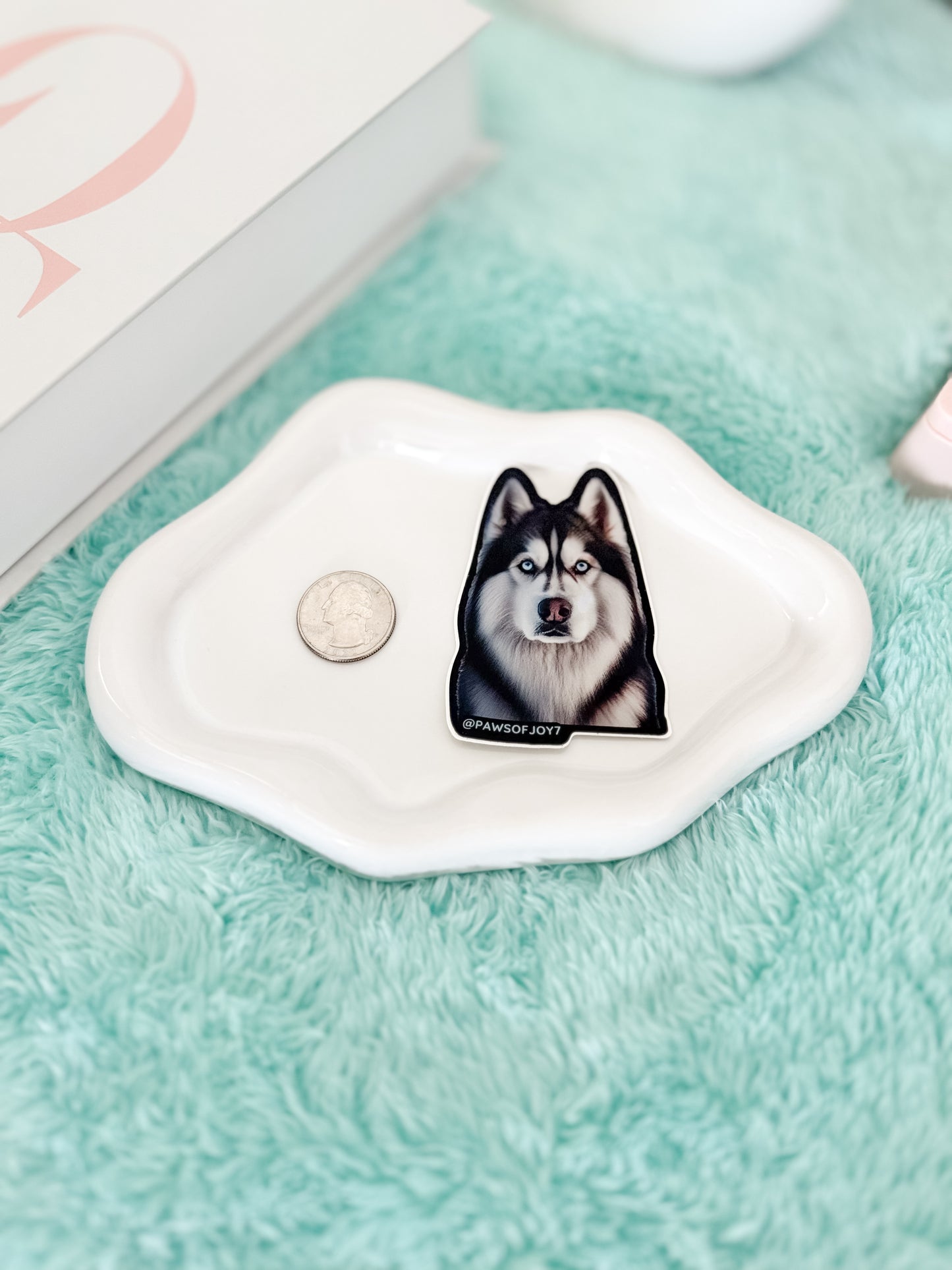 Small white dish with a dog illustration on a green surface