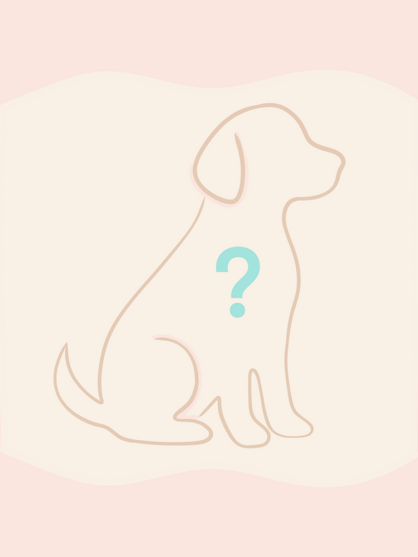 Outline of a dog with a question mark on a pink gradient background. A little surprise with a lot of meaning... get a handpicked deluxe sticker that feels like a gift, just for you and your pup.