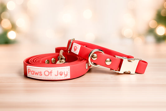 Red dog collar and leash set with 'Paws Of Joy' branding on a wooden surface.