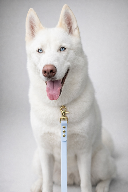 Serenity blue Waterproof Collar & Leash Set