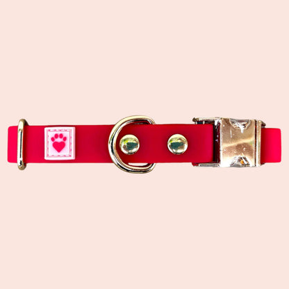 Crimson Red waterproof dog collar with light gold hardware, blending beauty and strength to honor the special bond between you and your dog.