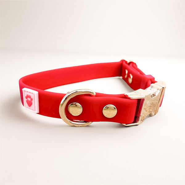 Crimson Red waterproof dog collar with light gold hardware, blending beauty and strength to honor the special bond between you and your dog.