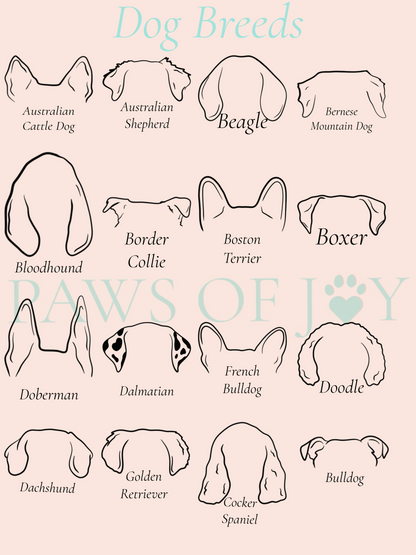 Illustrations of dog breeds with their names on a light pink background